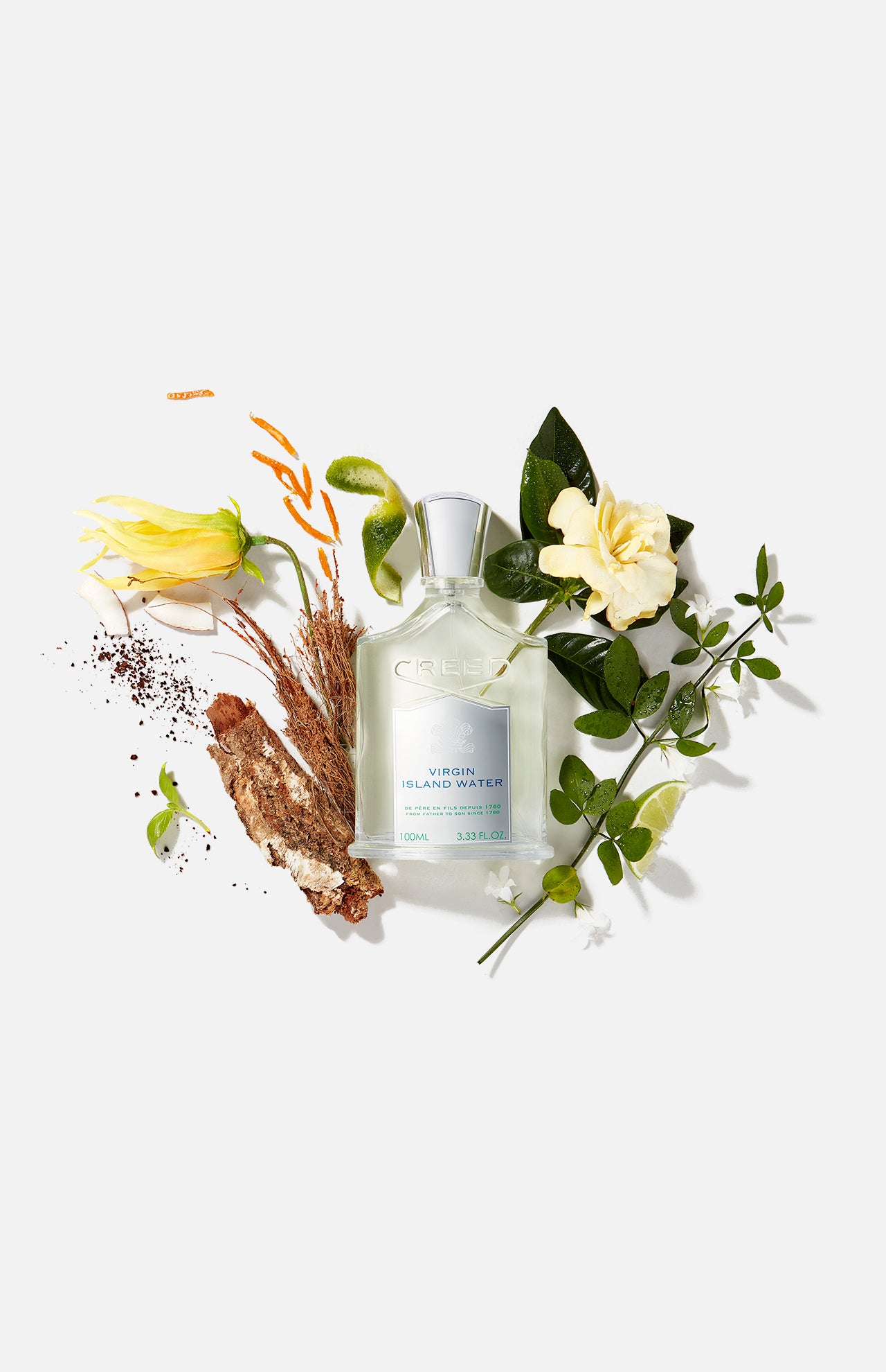 Virgin Island Water 100Ml (1750624764019)