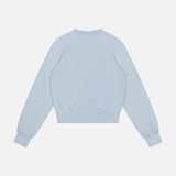 Shrunken Raglan Cotton Sweatshirt (14683759346027)