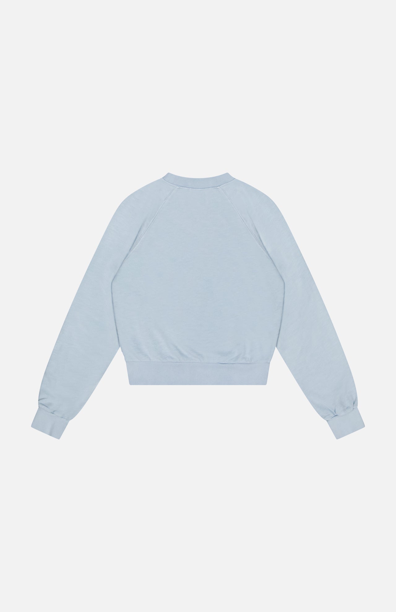 Shrunken Raglan Cotton Sweatshirt (14683759346027)