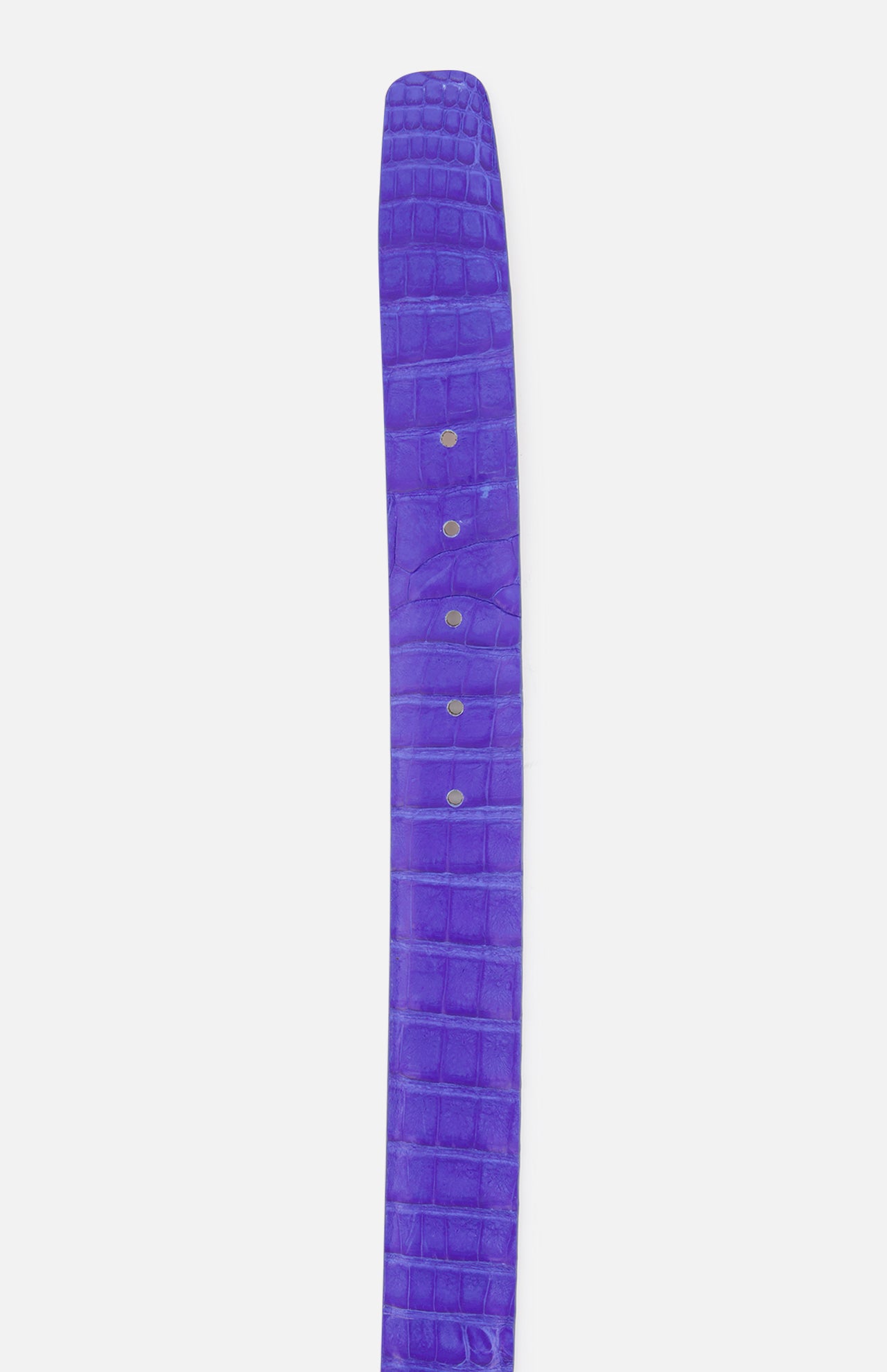 Caiman Belt (7341902626931)