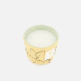 Folia Max 10 Candle (14711874322795)