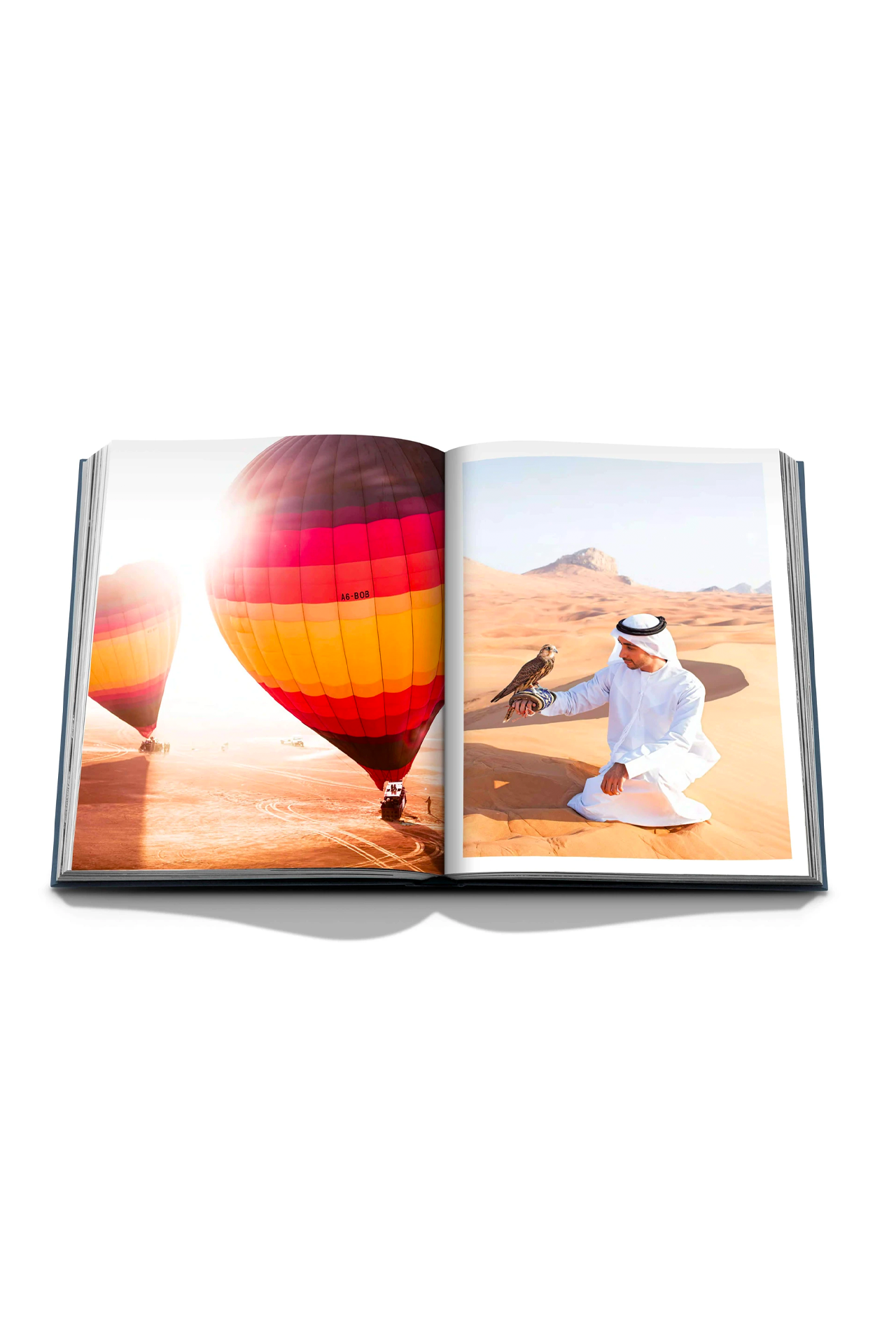 Dubai Wonder (6637672366195)