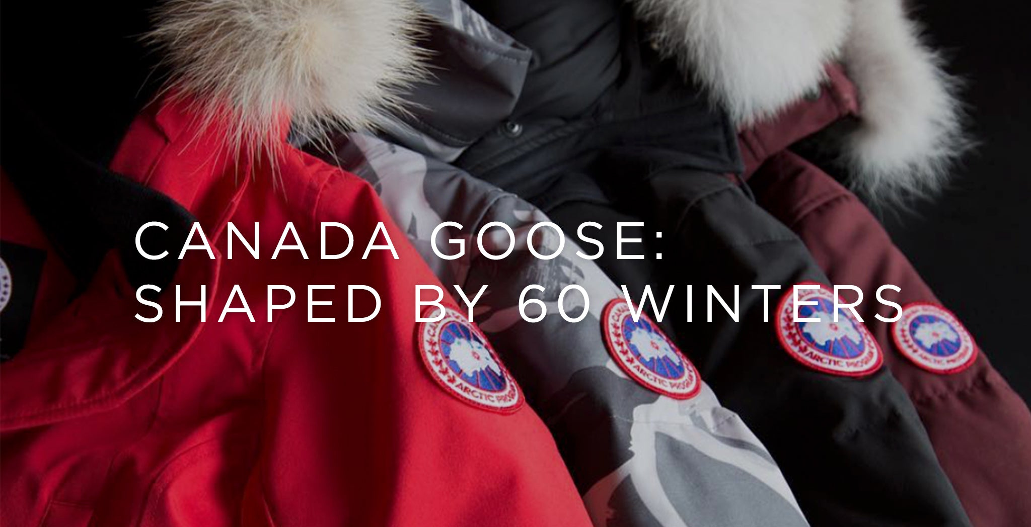 Shaped by 60 Winters: Canada Goose - A.K. Rikk's