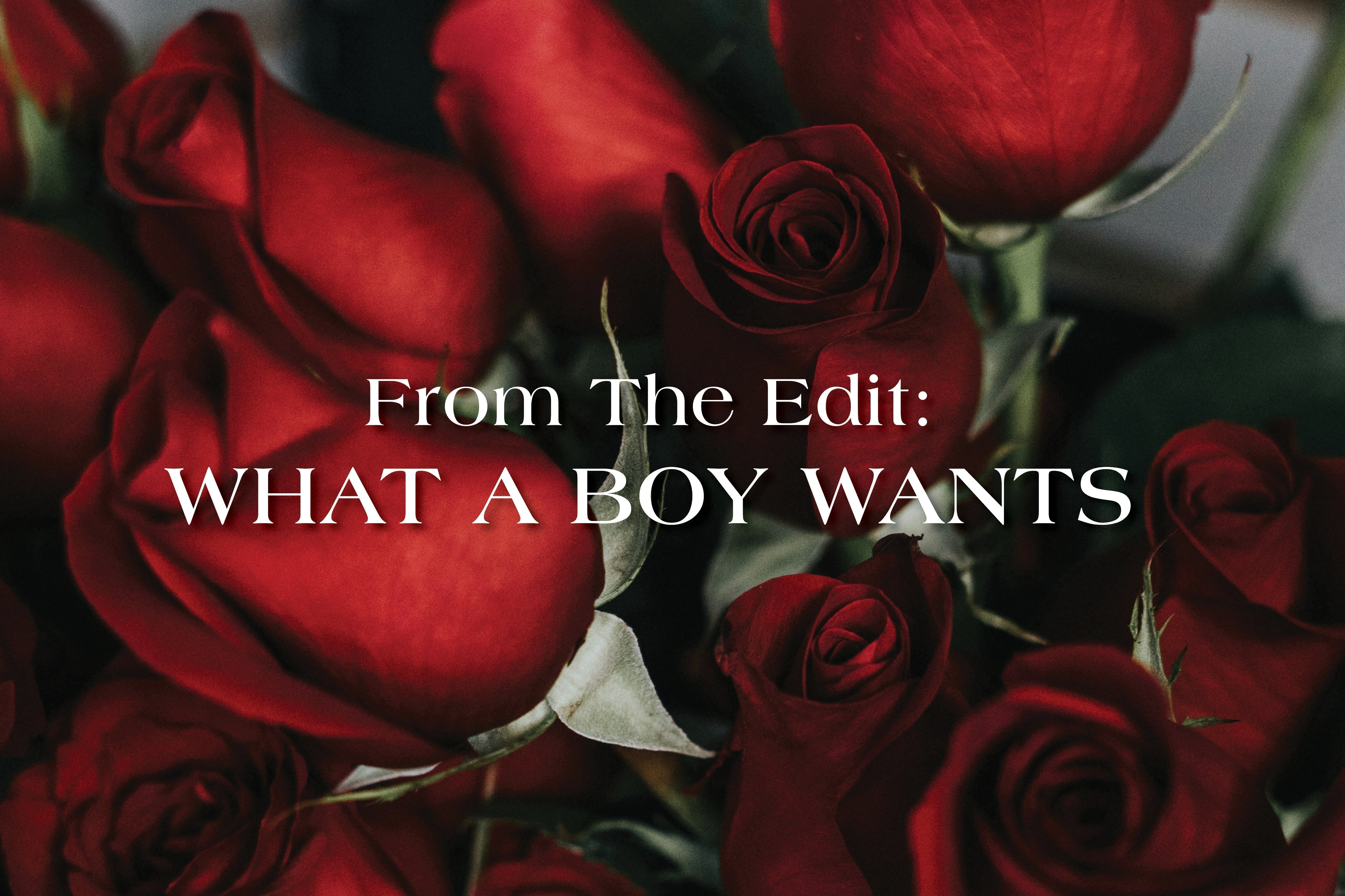 What a Boy Wants, What a Boy Needs