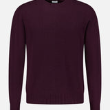 The 04651/ A TRIP IN A BAG Extreme Cashmere Crewneck Sweater, featuring a plain, long-sleeved design in dark purple, is displayed against a white background.