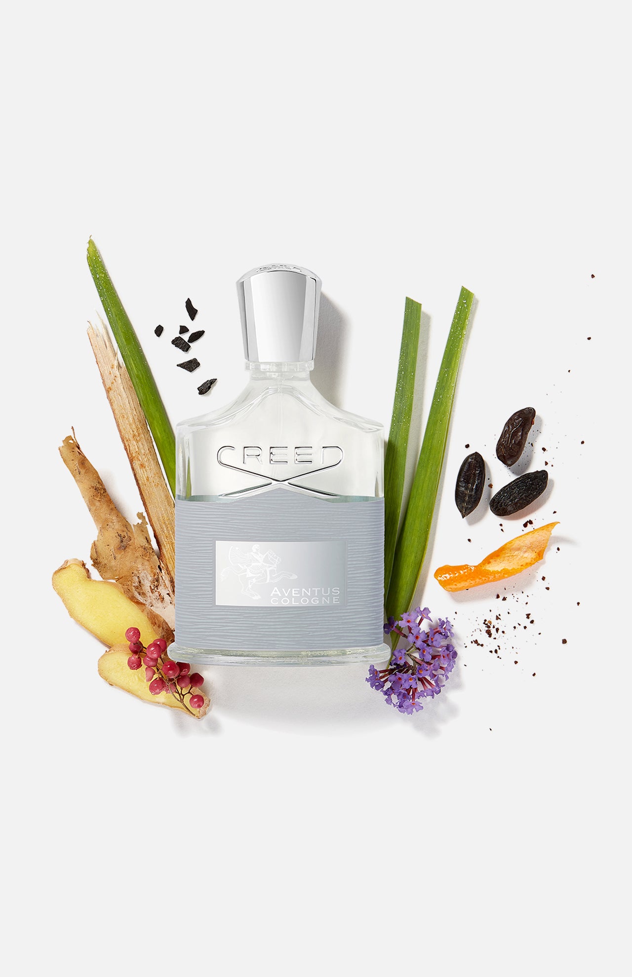 Aventus Cologne (6551301718131)