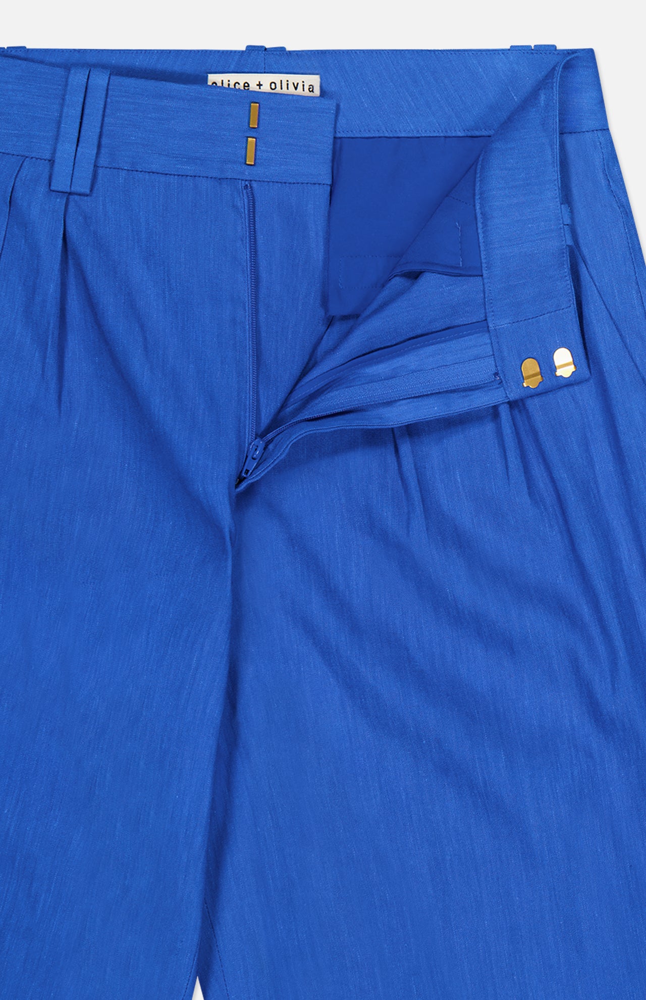 Eric High Rise Pleated Fit Pant (14686537384299)