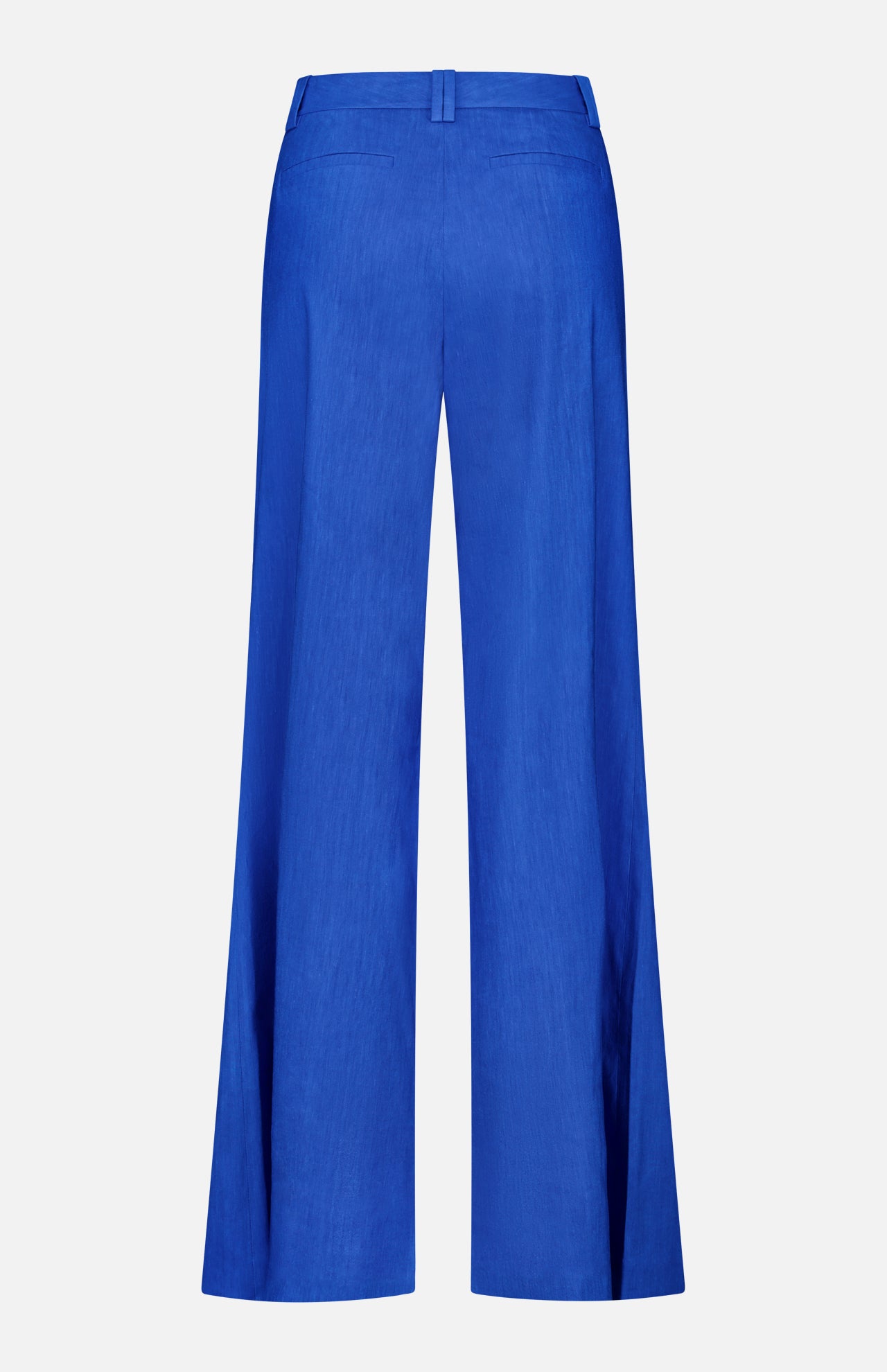 Eric High Rise Pleated Fit Pant (14686537384299)