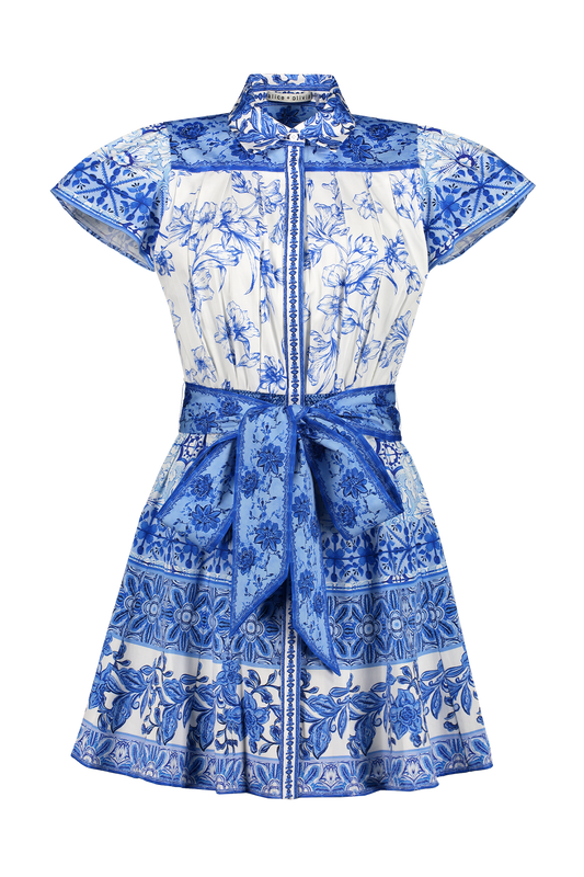 Tiffie Short Sleeve Mini Dress (7145027666035)