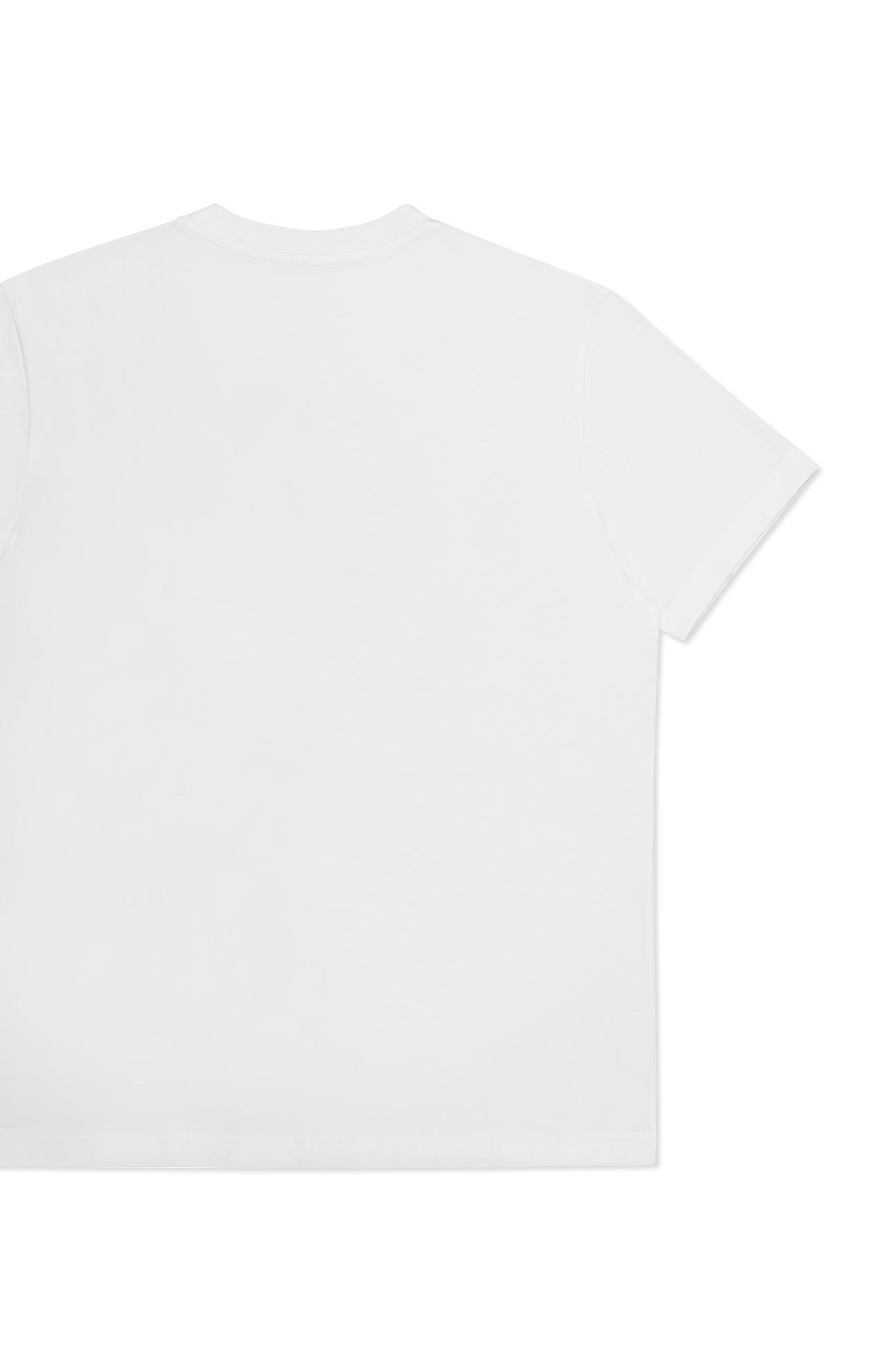 Signature Logo T-Shirt (7249784995955)