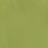 A smooth, solid light green fabric surface with soft shading and a gentle texture, reminiscent of the elegant Paula Scarf Detail Maxi Dress by AMANDA UPRICHARD.