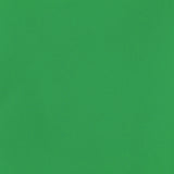 A smooth, evenly lit green background with a consistent shade—ideal for displaying the Sonya Gold Cuff Maxi Dress by AMANDA UPRICHARD, ensuring all focus stays on its elegant styling without any distracting patterns or objects.