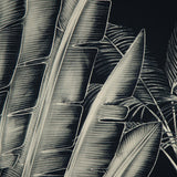 Detailed monochrome illustration of large tropical leaves, inspired by the Donde Empieza Embellished Maxi Dress from ANDRÉS OTÁLORA, overlapping on a dark background with visible veins and fine lines for a textured, natural look.