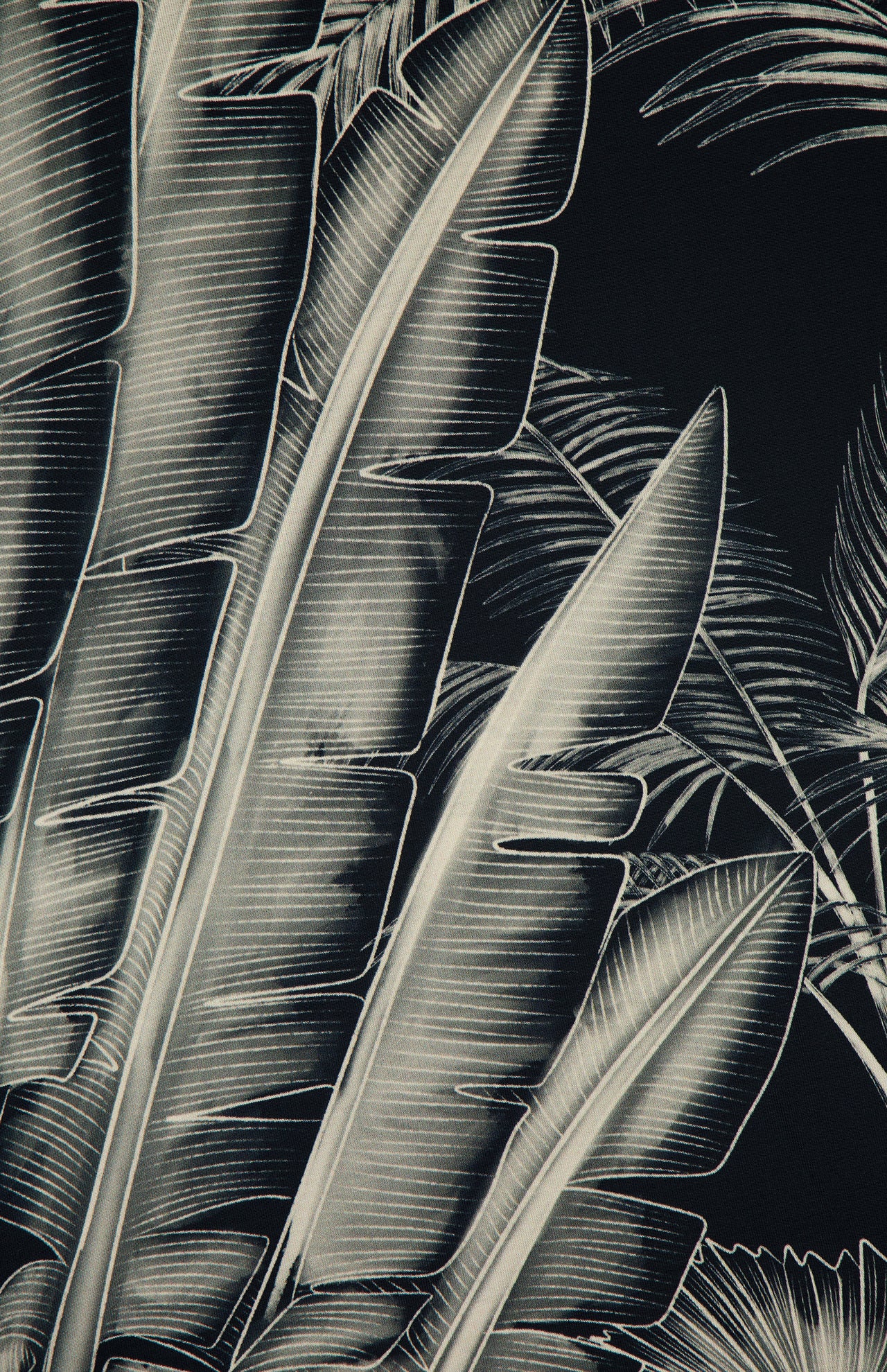 Detailed monochrome illustration of large tropical leaves, inspired by the Donde Empieza Embellished Maxi Dress from ANDRÉS OTÁLORA, overlapping on a dark background with visible veins and fine lines for a textured, natural look.