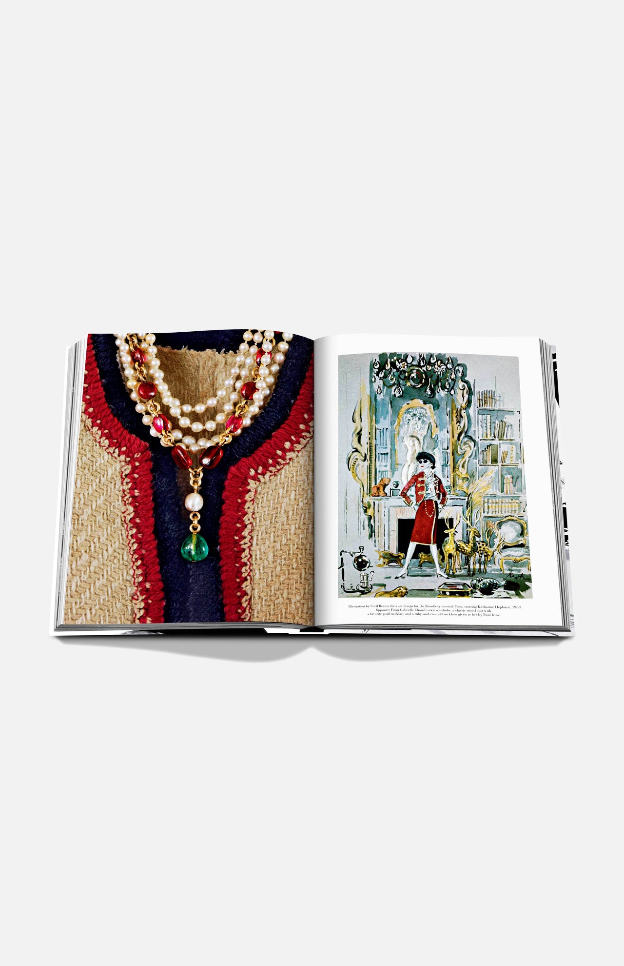 ASSOULINEChanel: The Legend of an Icon BookA.K. Rikk's