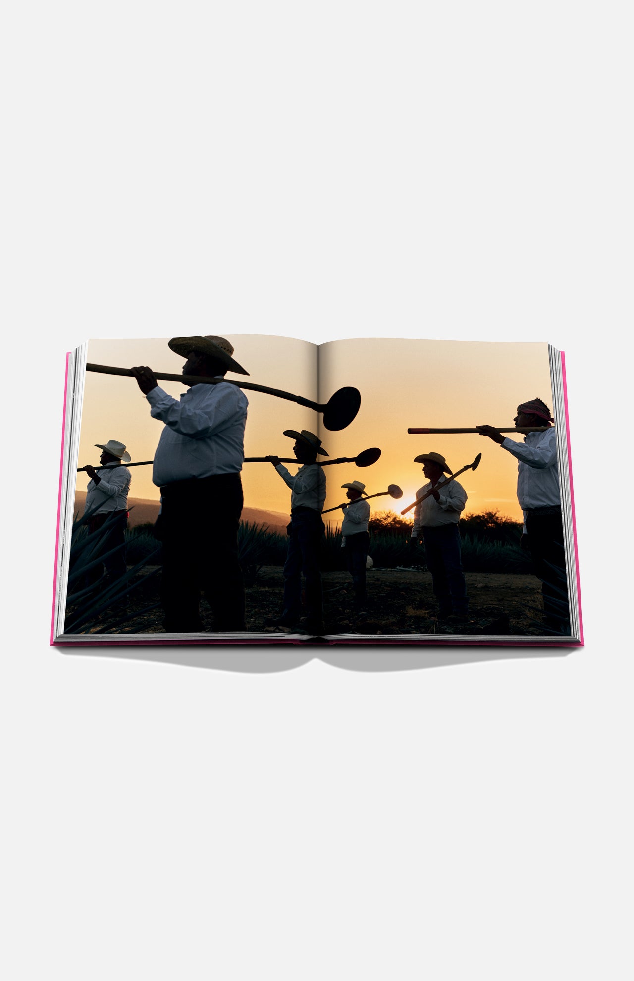 The Art of Tequila: Spirit of Mexico Book by Assouline features evocative images, such as people in hats with tools silhouetted at sunset, capturing tequila history and the essence of Mexican tradition and art.