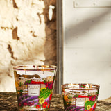 Two BAOBAB COLLECTION Provence Max 16 candles with vibrant floral patterns and hand-poured wax rest on a stone surface in sunlight, set against a textured beige wall and a white door.