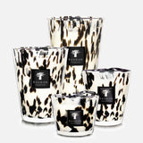 Candle Pearls Black MAX 16 (7063256236147)