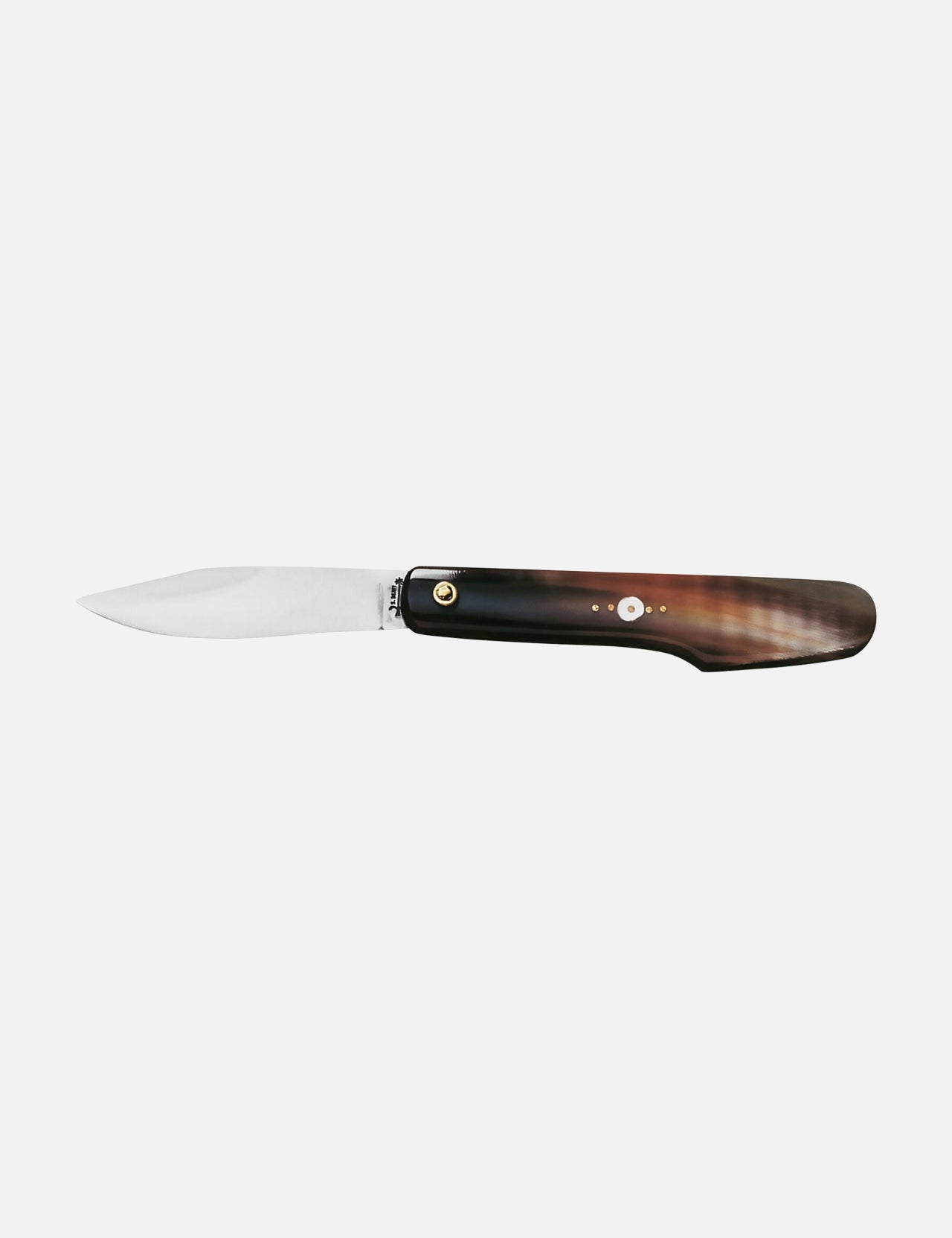 The Castrino OX Horn Pocket Knife by Berti Cutlery features a shiny silver blade and a polished brown horn handle, shown open against a plain white background.