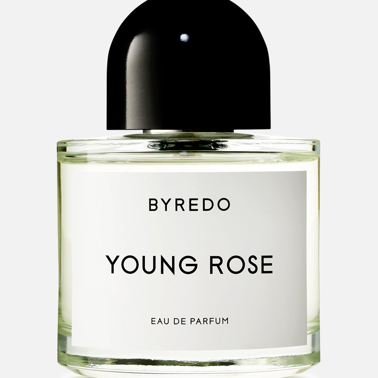 Young Rose (6631646003315)
