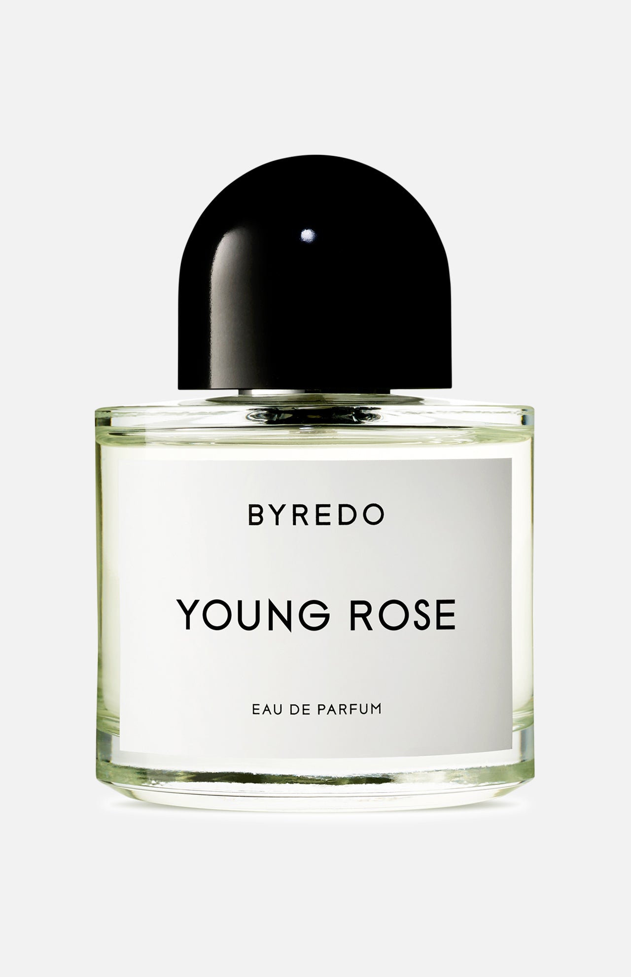 Young Rose (6631646003315)