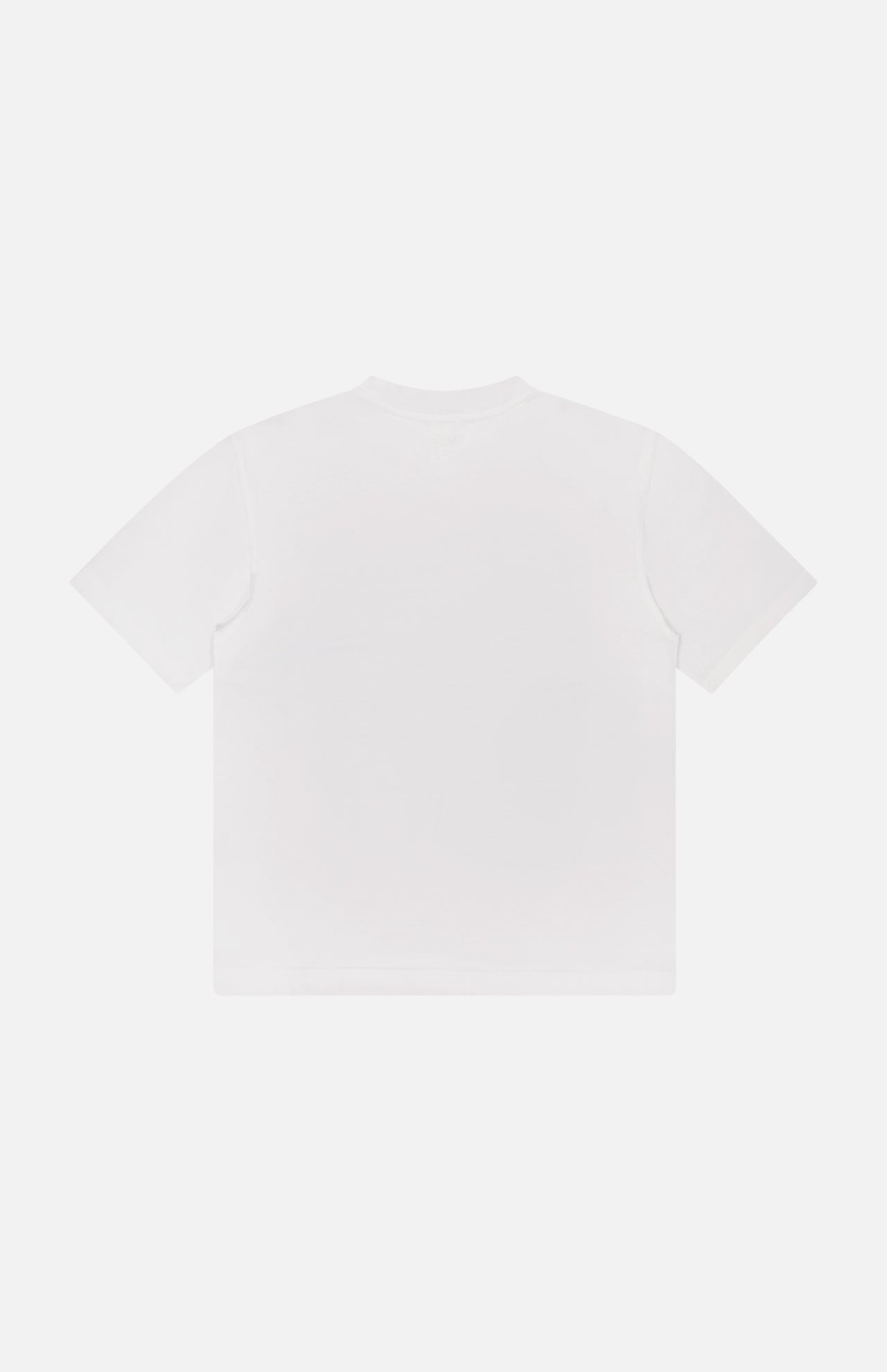 Classic Organic Cotton T-Shirt (14622000841067)