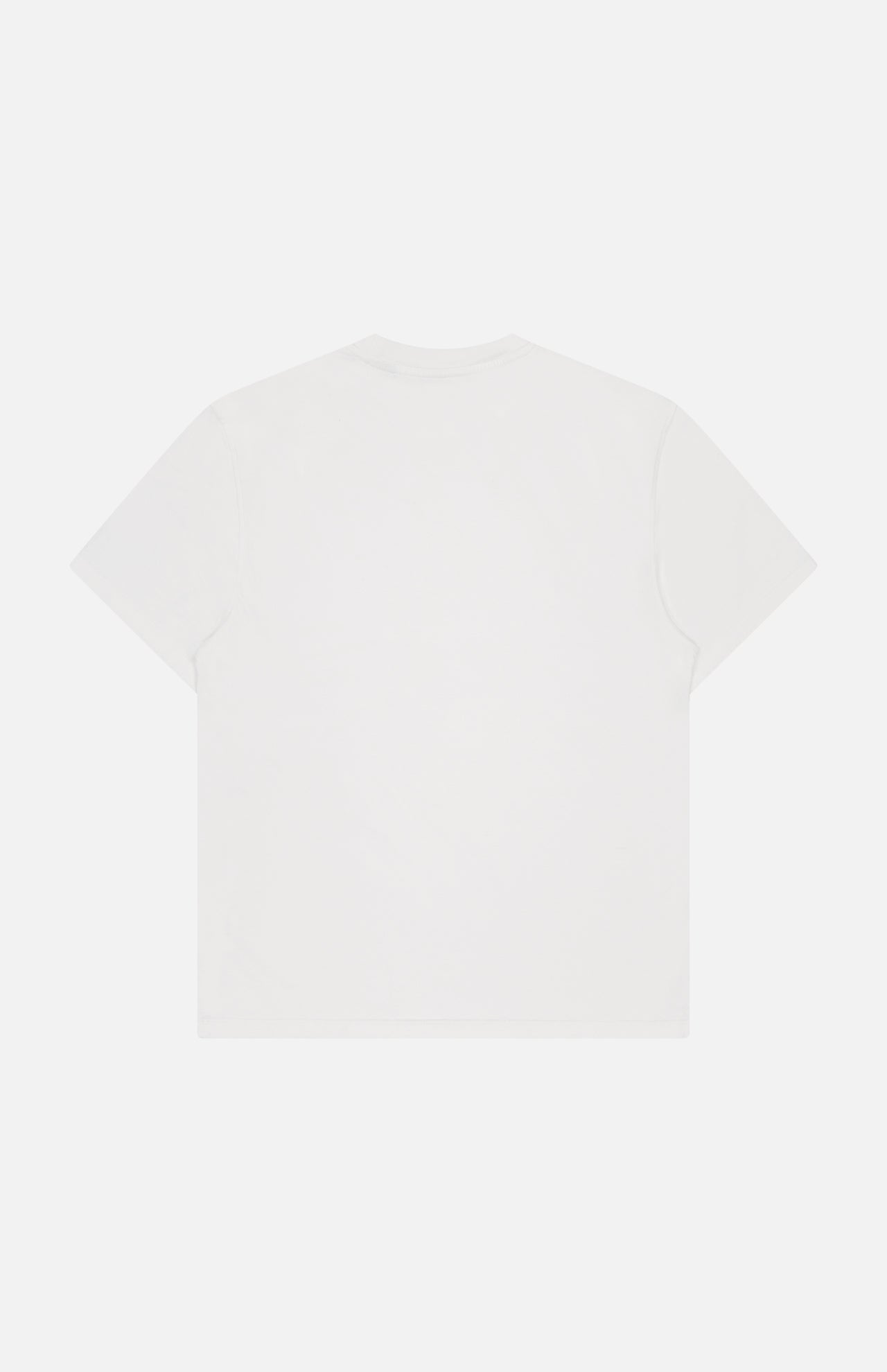 Swing T-Shirt (14627290644843)