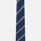 Silk Jacquard Diagonal Stripe Tie (14627282846059)