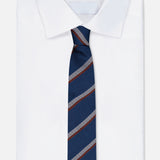 Silk Jacquard Diagonal Stripe Tie (14627282846059)