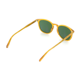 Kinney Sunglasses (7196539519091)
