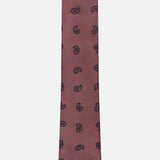 Paisley Print Silk Tie