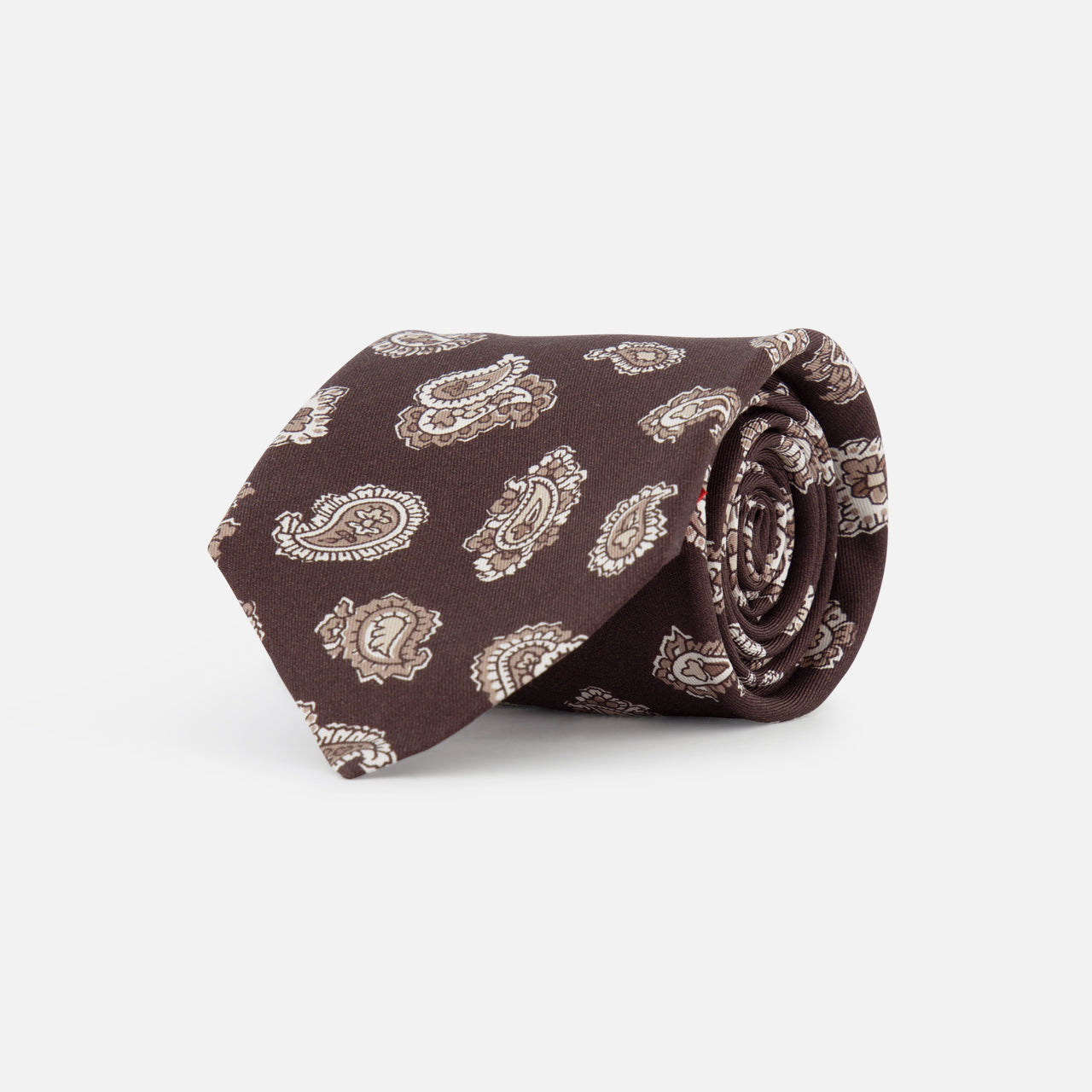 Patterned Paisley Print Silk Tie (14658005696875)