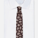 Patterned Paisley Print Silk Tie (14658005696875)