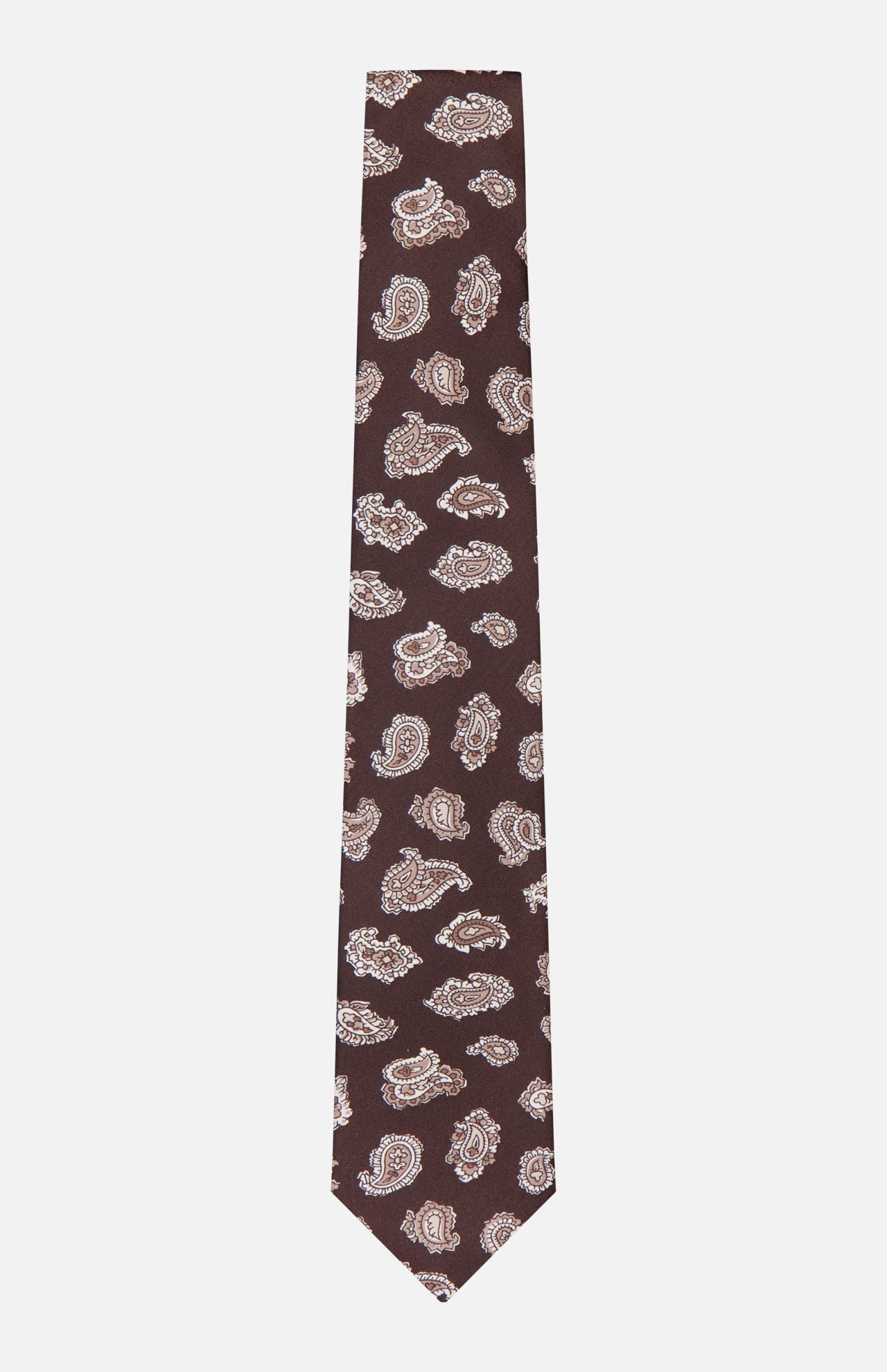 Patterned Paisley Print Silk Tie (14658005696875)