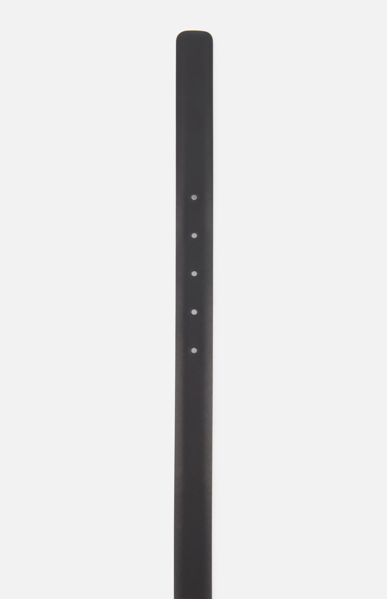 Dome Belt (25mm) (14730285285739)