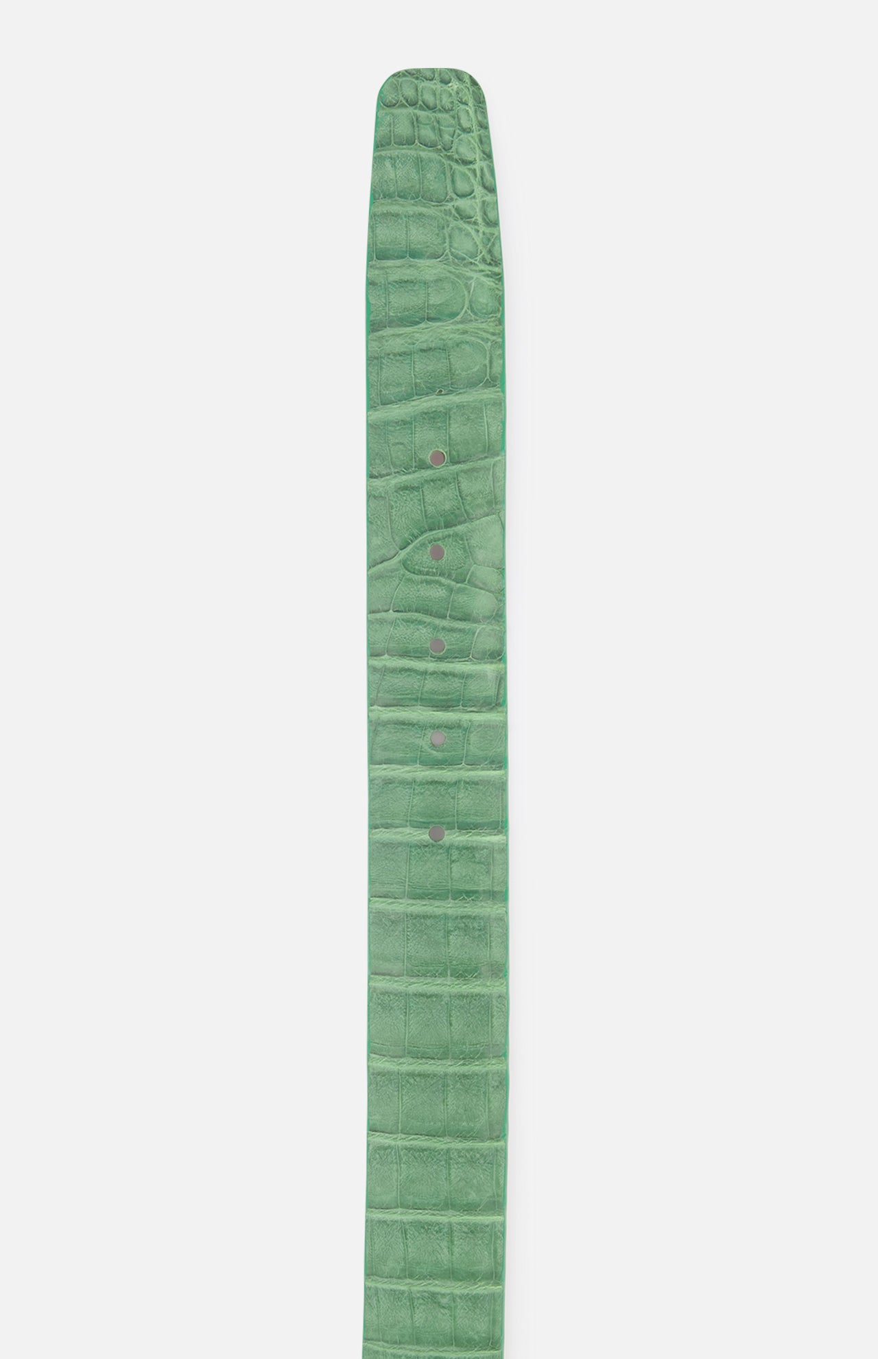 Caiman Crocodile Belt (14623585239403)