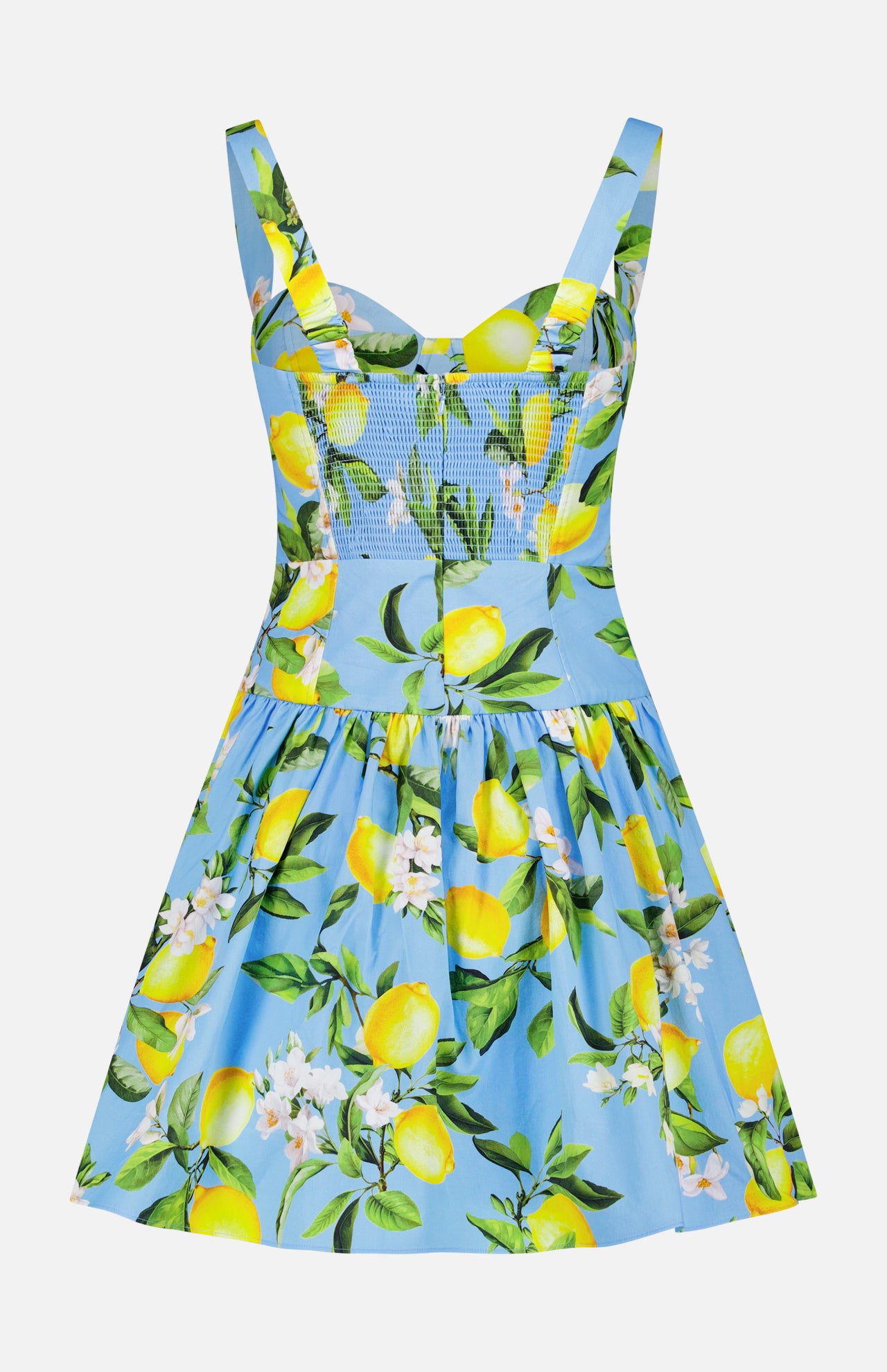 Jai Drop Waist Floral Lemon Mini Dress (14680462033259)