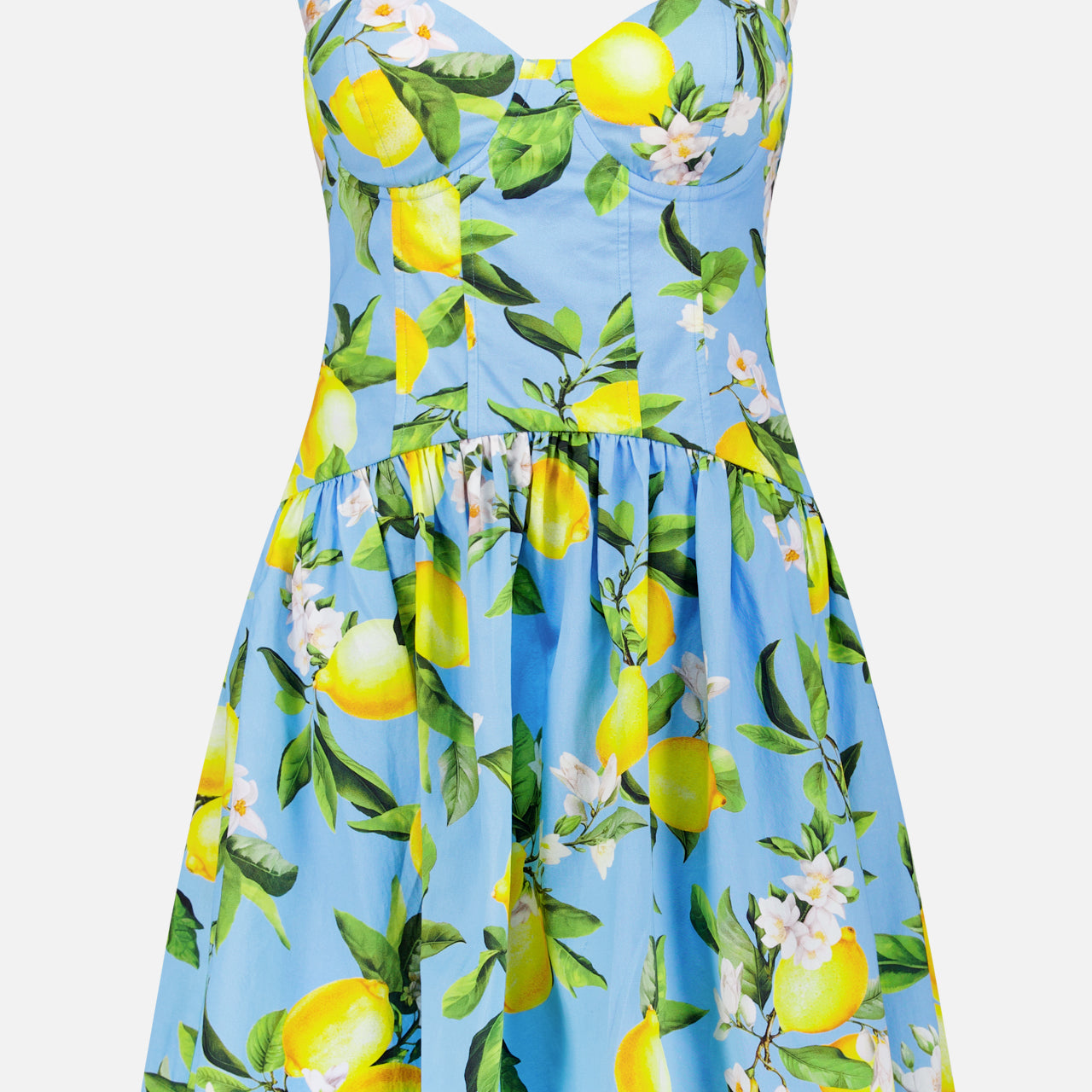 Jai Drop Waist Floral Lemon Mini Dress (14680462033259)