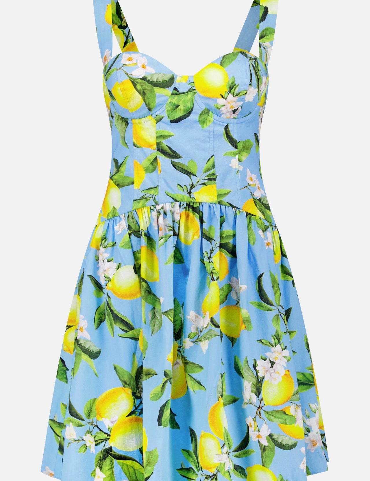 The Jai Drop Waist Floral Lemon Mini Dress by L'AGENCE is a sleeveless, light blue mini dress with a fitted corset bodice and flared skirt, adorned with a yellow lemon floral print, green leaves, and white flowers.