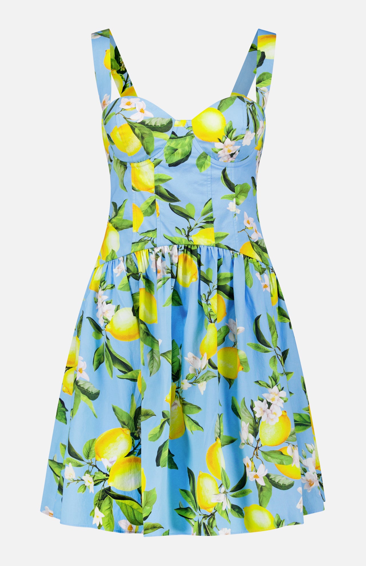 Jai Drop Waist Floral Lemon Mini Dress (14680462033259)