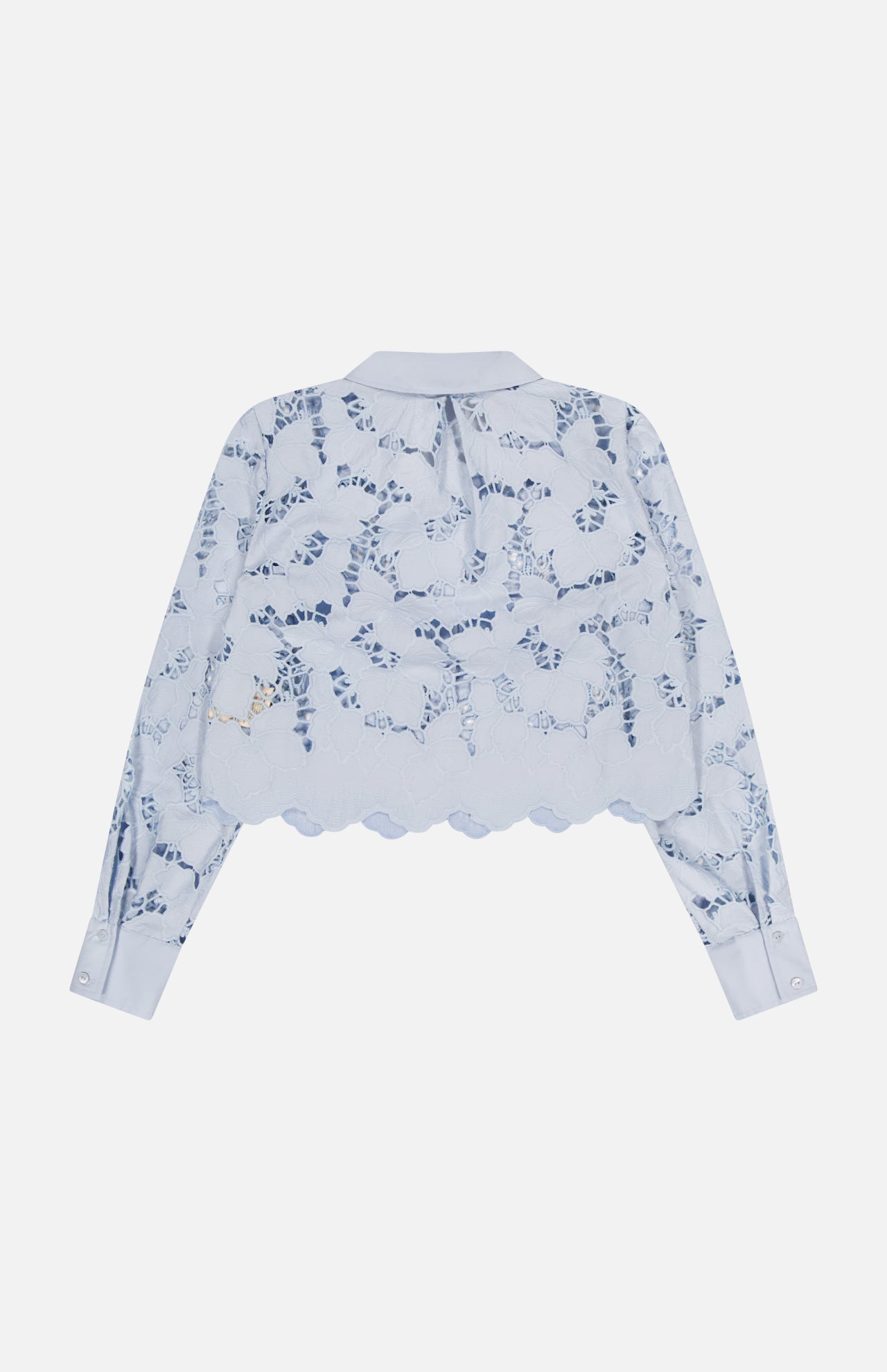 Seychelle Cropped Buttondown Shirt (14673296228715)