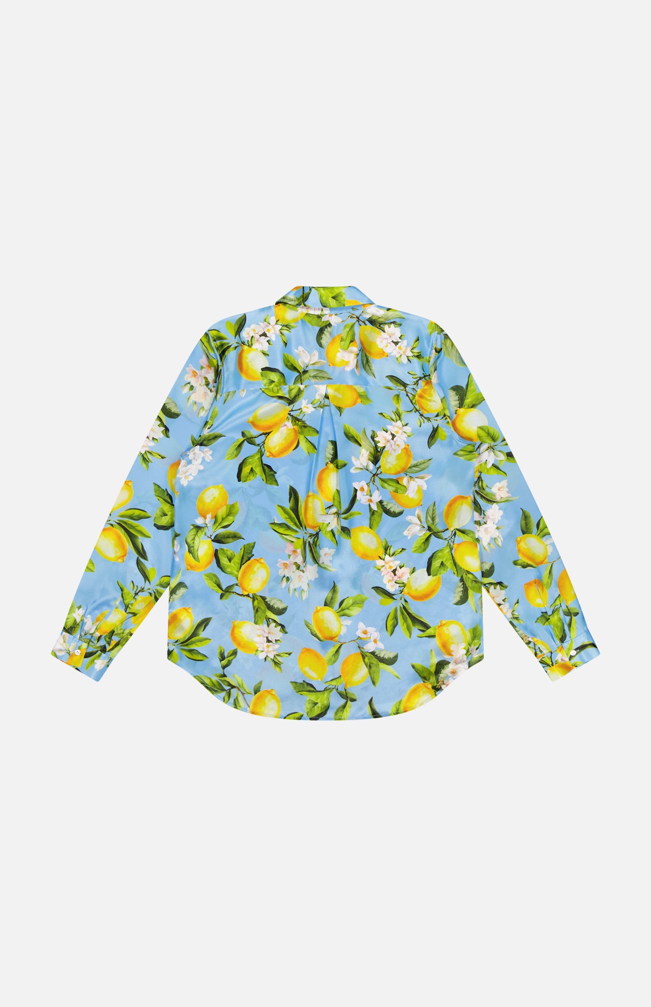 Tyler Long Sleeve Lemon Floral Blouse (14680462066027)