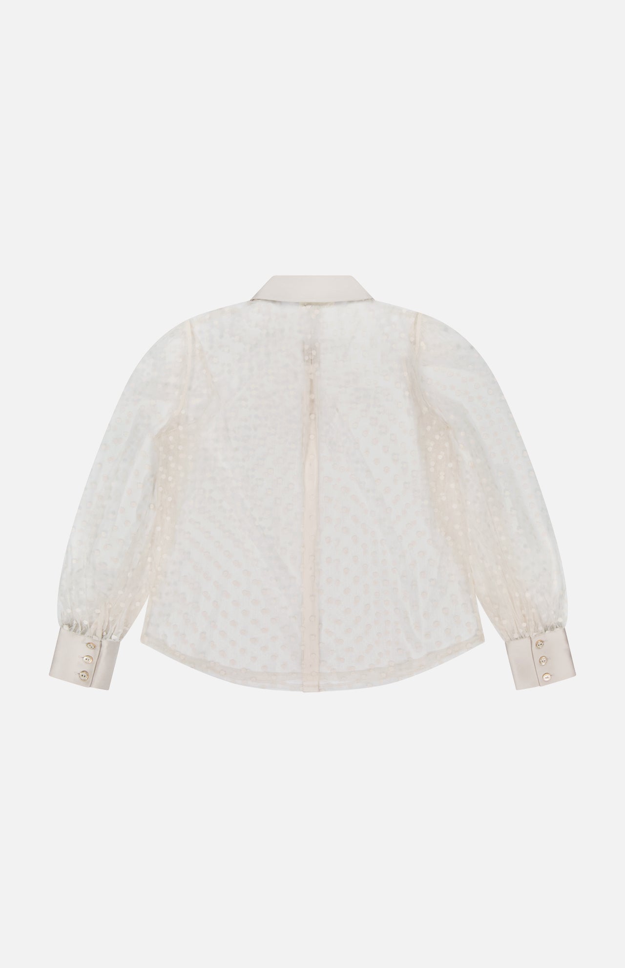 The L'AGENCE Sophie Long Sleeve Blouse, shown from the back on a white background, features sheer Swiss dot fabric, long sleeves with buttoned cuffs, and a classic collar—an elegant off-white option for any occasion.