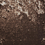 RAG & BONELucy Sequin Midi SkirtA.K. Rikk's