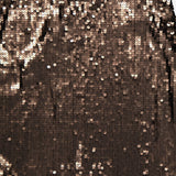 RAG & BONELucy Sequin Midi SkirtA.K. Rikk's