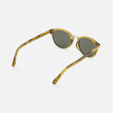 Zegna Round Golden Brown Sunglasses featuring round tortoiseshell frames with green lenses, viewed from the back.