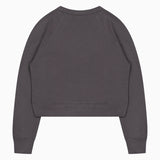 Back view of the charcoal grey Mother The Itty Concert Crewneck Sweatshirt, a cropped raglan style with long sleeves and ribbed trim.