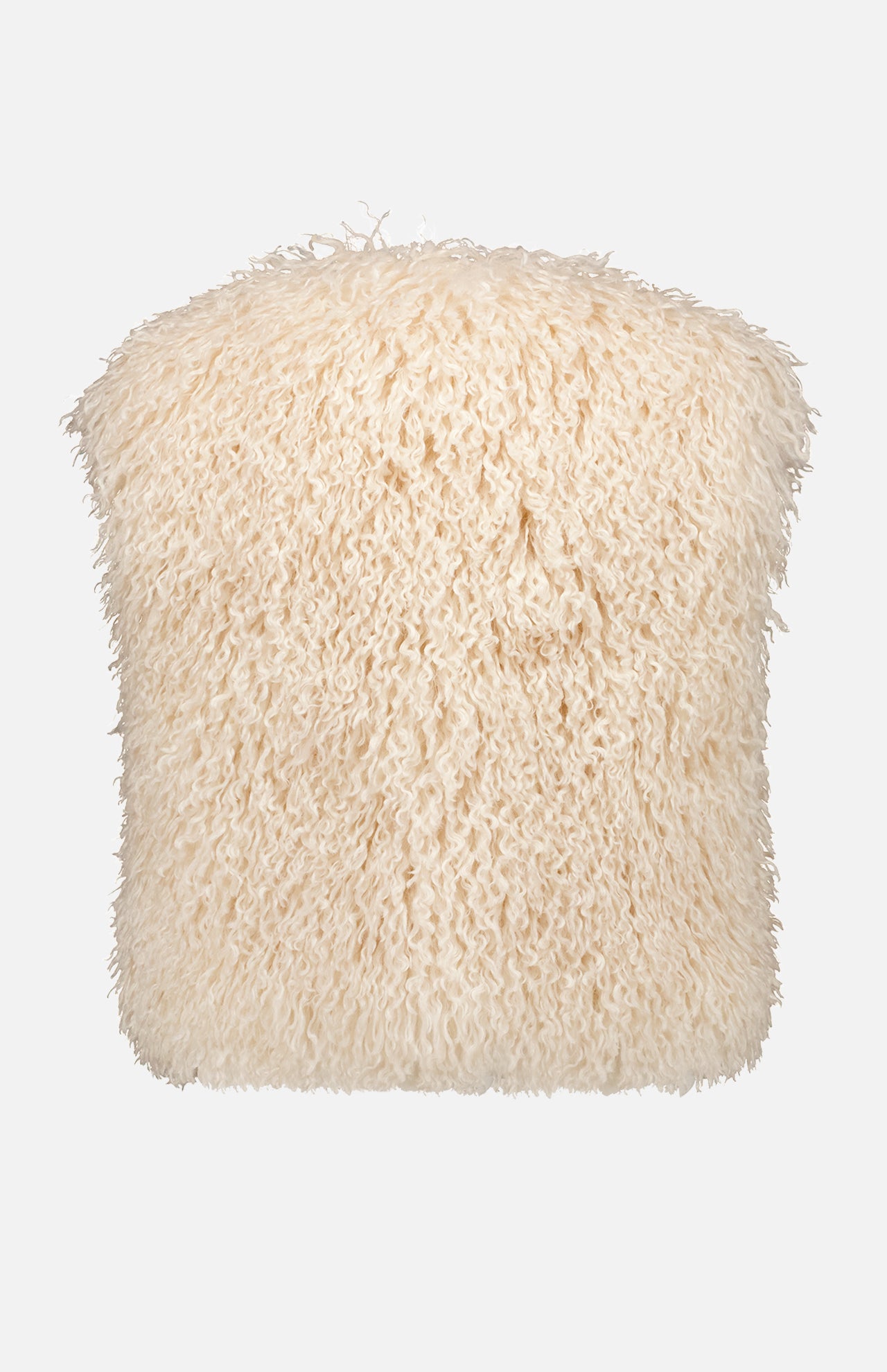 Xylia Faux Fur Vest (7677059006579)