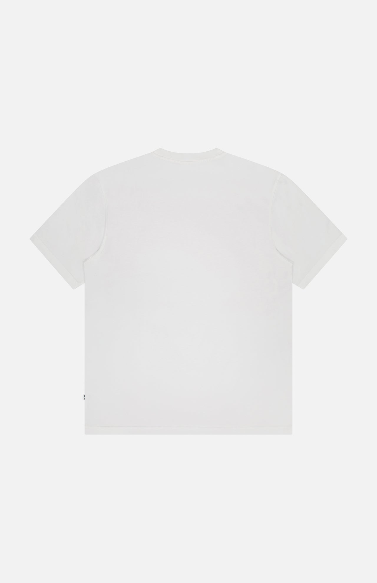 Adam Cotton T-Shirt (14703845441899)