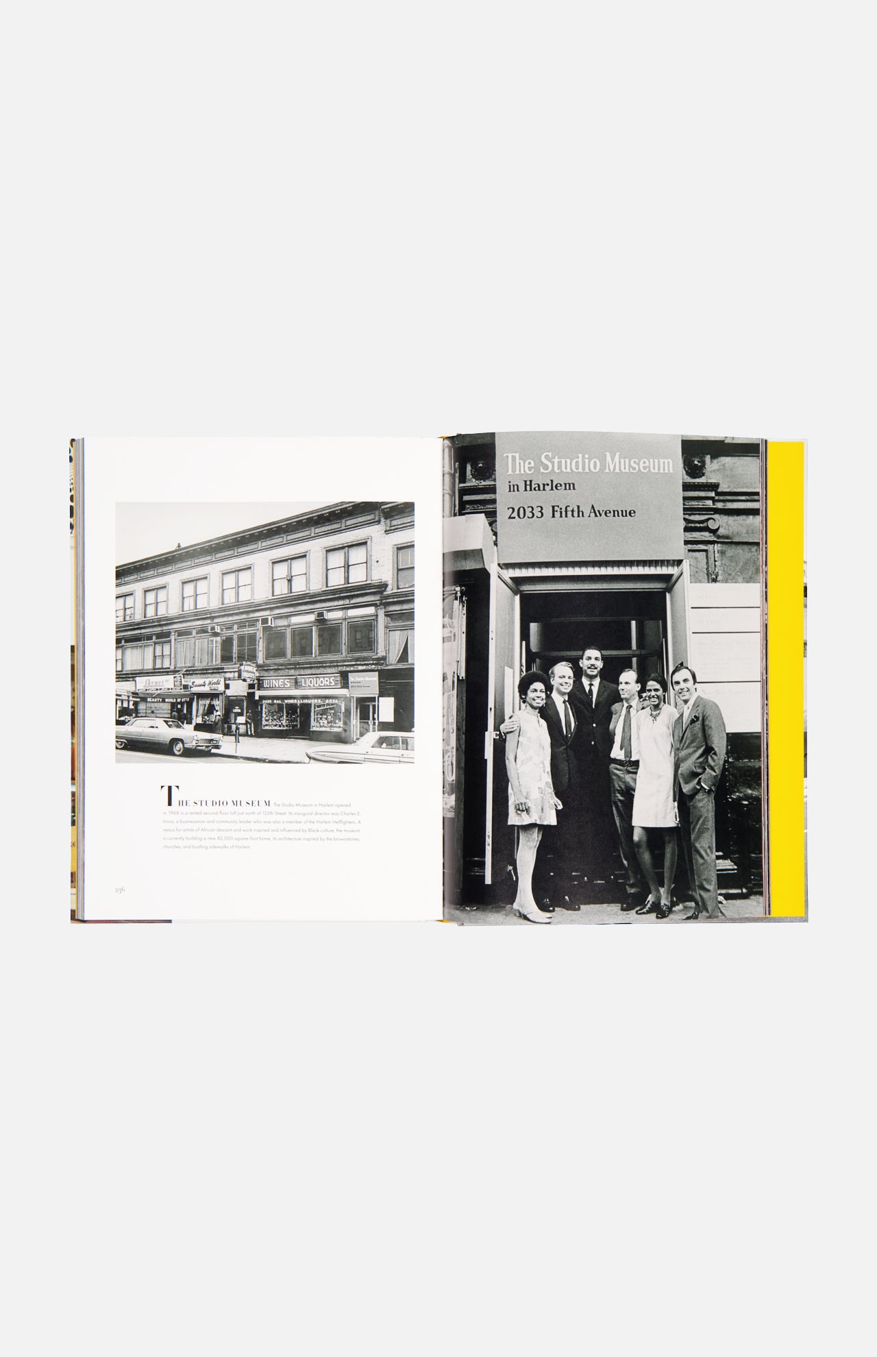 ASSOULINE5th Avenue: 200 Years of Stories & LegendsA.K. Rikk's